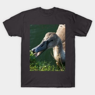 Swan Baby Eating T-Shirt